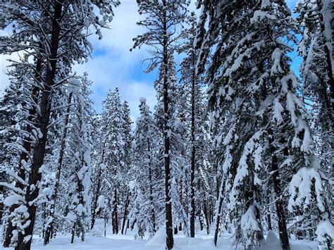 Make the most of winter by visiting Washington Sno-parks — The Mountaineers