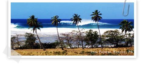 Surfing In Rincon Puerto Rico – The Surfing Handbook