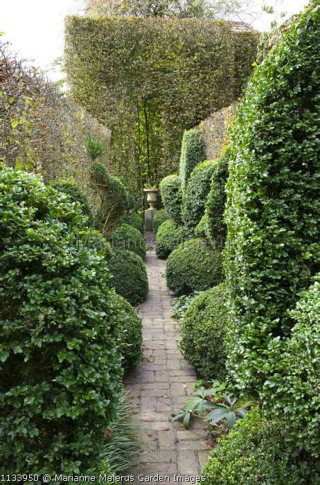 Topiary | Garden elements, Topiary, Garden