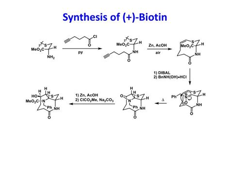 PPT - Total Synthesis of (+)-Biotin PowerPoint Presentation - ID:1850445