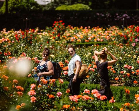 Peninsula Park & Rose Garden | The Official Guide to Portland