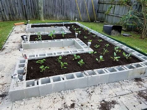 15 Best Cinder Block Raised Bed | Cinder Block Garden Ideas