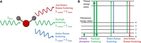 | Principle of Raman scattering. (A) Raman scattering and Rayleigh... | Download Scientific Diagram