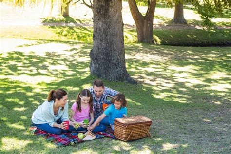 The Best Picnic Spots in Brisbane For Families - Brisbane Kids