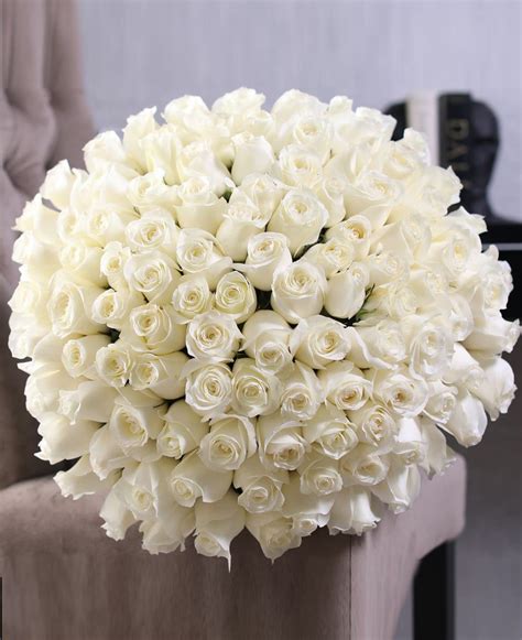 100 White Roses Bouquet in Miami Beach, FL | Luxury Flowers Miami