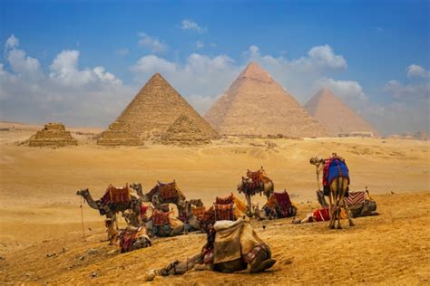 8,700+ Camel Caravan Stock Photos, Pictures & Royalty-Free Images - iStock