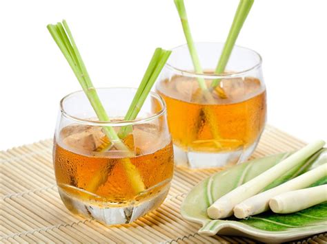 Tips & Information about Lemongrass - Gardening Know How