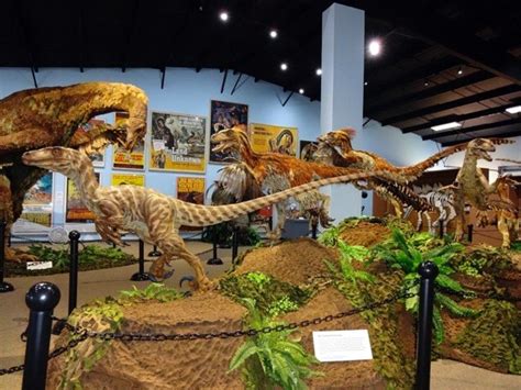 The Dinosaur Museum in Blanding Utah