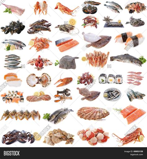 All 93+ Images English Seafood Names And Pictures Latest