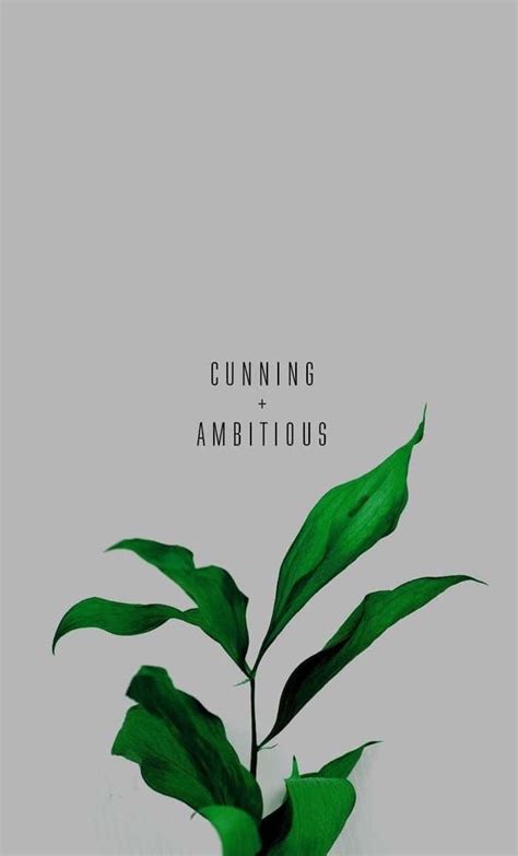 Download Green Plant Aesthetic Quotes Wallpaper | Wallpapers.com