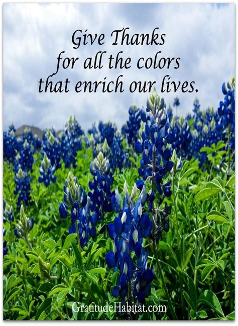 Bluebonnet Quotes - ShortQuotes.cc