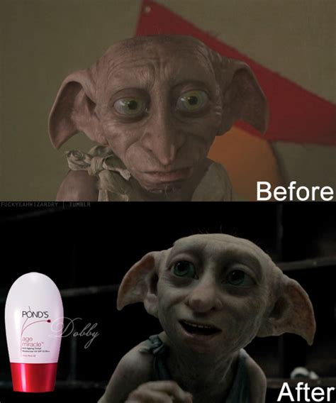 Funny Dobby Quotes. QuotesGram