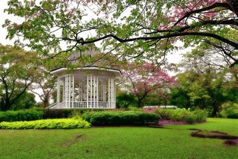 Singapore Botanical Garden & National Orchid Garden, Singapore ...