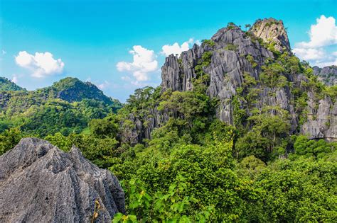 Photography of Mountain Covered With Trees · Free Stock Photo