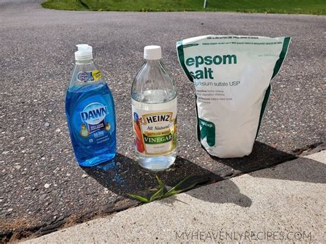 3 Ingredient Weed Killer - Great for sidewalk cracks! - My Heavenly Recipes