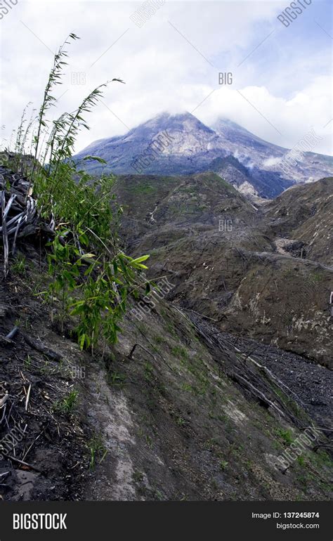 Merapi Volcano On Java Image & Photo (Free Trial) | Bigstock