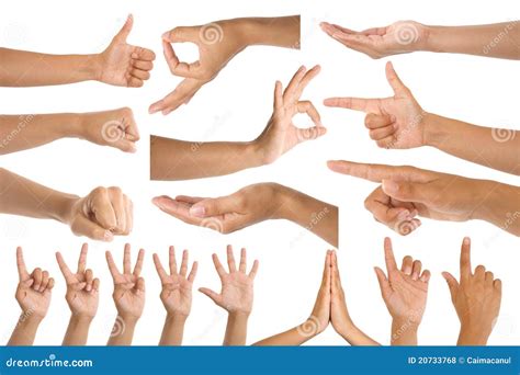 Woman hand gestures stock photo. Image of gesturing, hold - 20733768