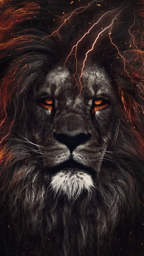 1080P free download | Leo, lion, lions, HD phone wallpaper | Peakpx