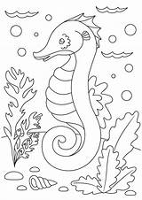 Free SEAHORSE Coloring Pages For Download Printable PDF sketch template