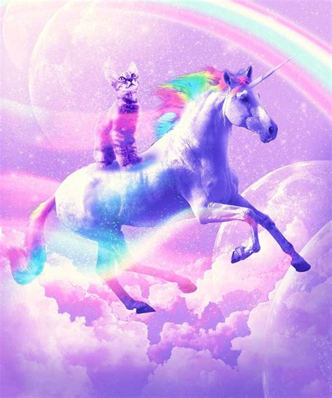 Download Aesthetic Kitty Riding Galaxy Unicorn Wallpaper | Wallpapers.com