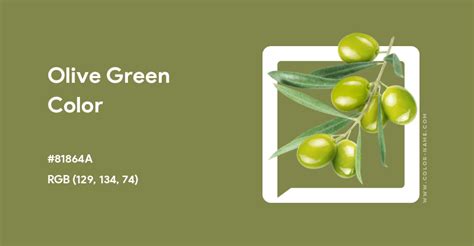 Olive Green color hex code is #81864A