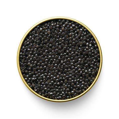 White Sturgeon Caviar is also known as Transmontanus Caviar