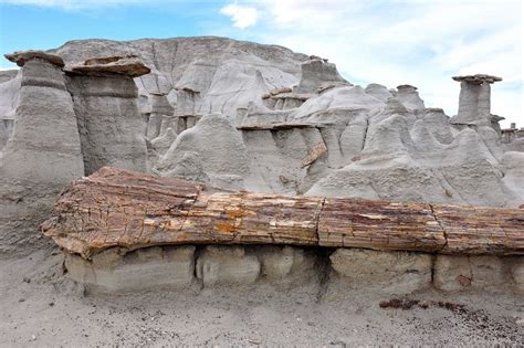 The Alien Landscape of Bisti Badlands | Amusing Planet