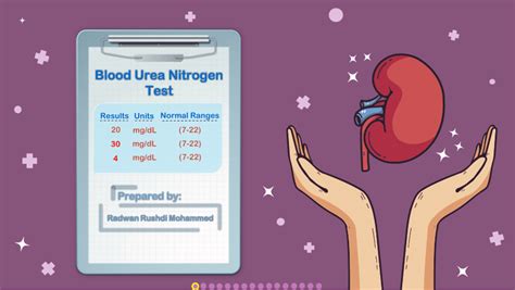 (PDF) Blood Urea Nitrogen Test