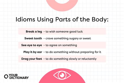 20+ Common Idioms Using Body Parts | YourDictionary