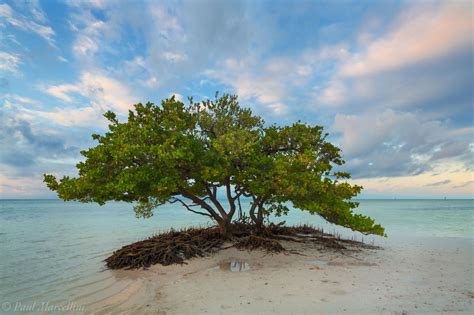 Anne's Beach Morning : Islamorada, Florida Keys, FL : Florida Landscape Photography by Paul ...