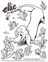 Ellie Name Coloring Page Pages sketch template