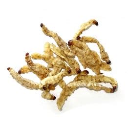 Edible Bamboo Worm Pupae