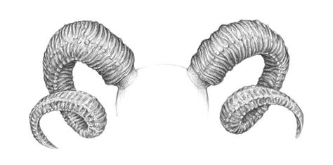 how to draw goat horns - stevevandorenfunkopop