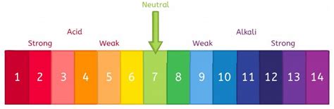 What is Neutralisation? - Answered - Twinkl Teaching Wiki