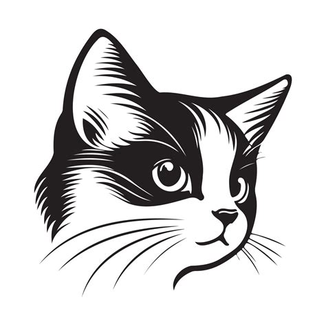 gato rostro, siluetas gato cara svg, negro y blanco gato vector 22664807 Vector en Vecteezy