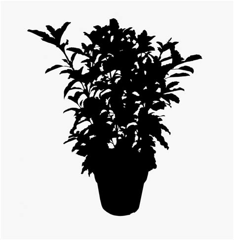 Download Plants Png Black - Sinobhishur