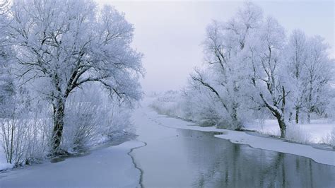 宽屏雪景 壁纸(一)5 - 1920x1080 壁纸下载 - 宽屏雪景 壁纸(一) - 风景壁纸 - V3壁纸站