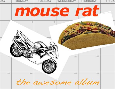 The Awesome Album - Mouse Rat Photo (31477327) - Fanpop