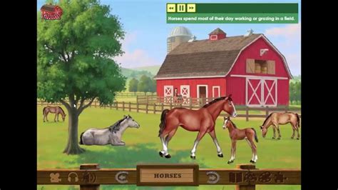 ABC Mouse Farm Animals | Abc mouse, Horse farms, Farm animals