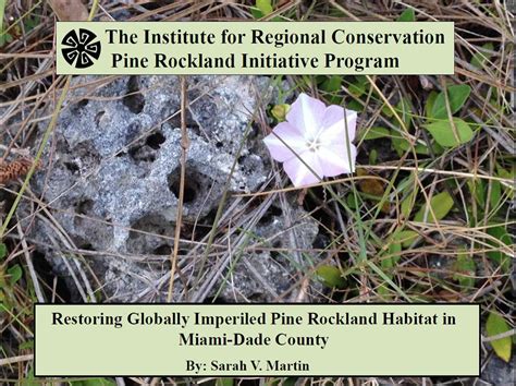 The Institute for Regional Conservation