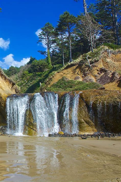 This Short Hike In Oregon Will Lead You To A Spectacular Beach ...