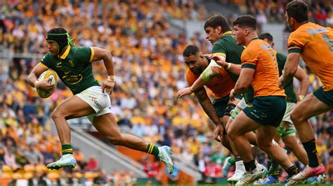 Rugby Championship 2024: Wallabies vs Springboks highlights, result, scores, South Africa win ...