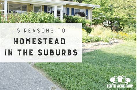 5 Reasons to Homestead in the Suburbs - Tenth Acre Farm