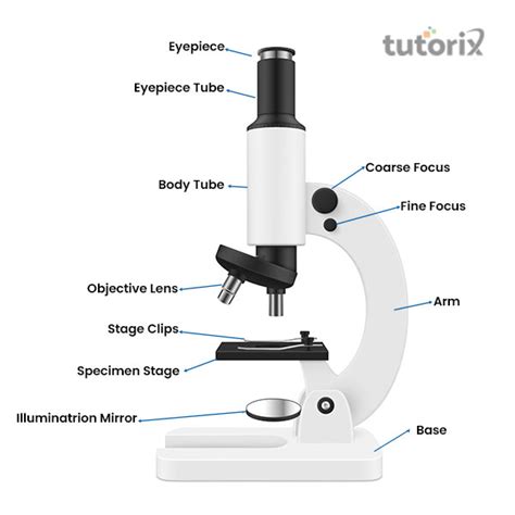 Simple Microscope