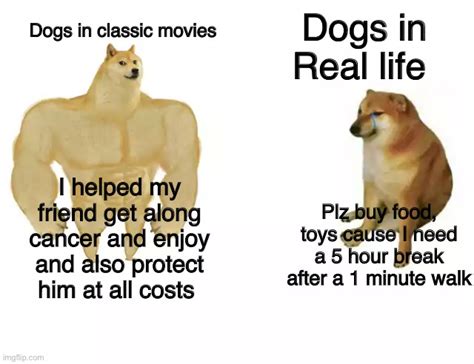 Buff Doge vs. Cheems Meme - Imgflip