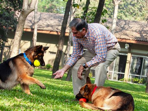 Dogs Were Indeed Ratan Tata’s Best Friends - Forbes India