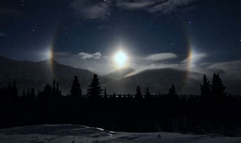 Moon Dogs | Montana Natural History Center