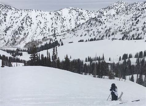 Alta Ski Area to the Max | Life Elevated Mom