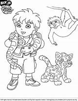 Go Diego Coloring Pages Chinchilla sketch template