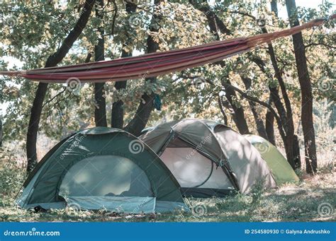 Tent in the forest stock photo. Image of recreation - 254580930